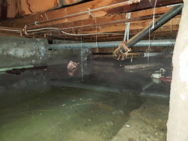  Wasco, CA Water damage restoration Pros