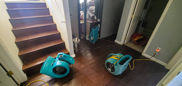 Best Water damage restoration company  in Wasco, CA