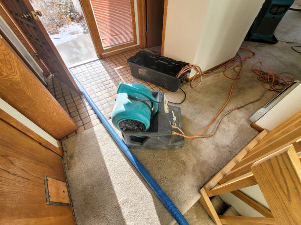 Best Water damage restoration near me  in Wasco, CA