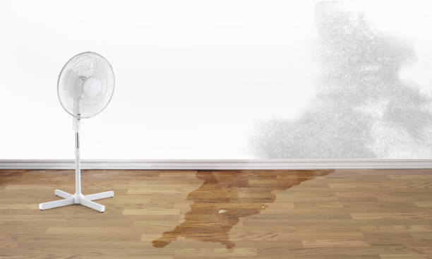 Best Water damage restoration cost  in Wasco, CA