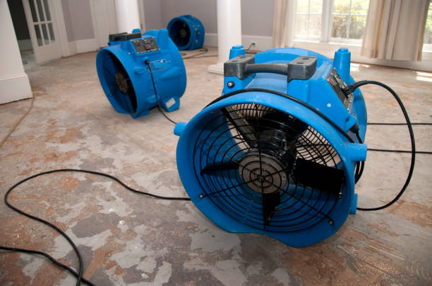 Best Local water damage restoration  in Wasco, CA