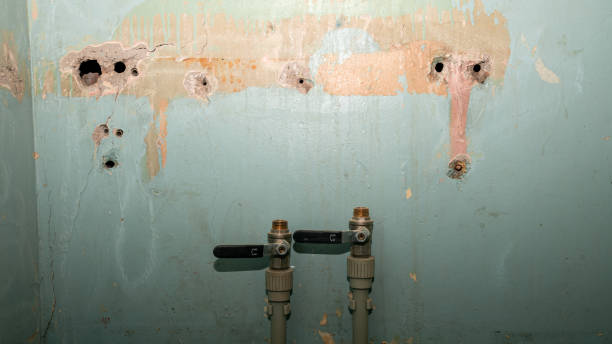 Best Sewage cleanup and water damage restoration  in Wasco, CA