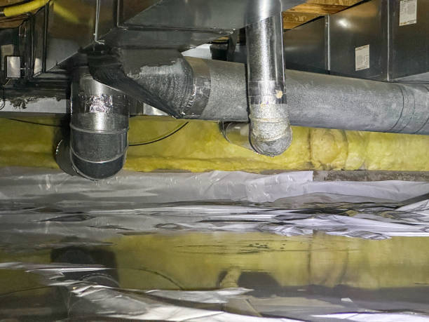 Best Water damage cleanup near me  in Wasco, CA