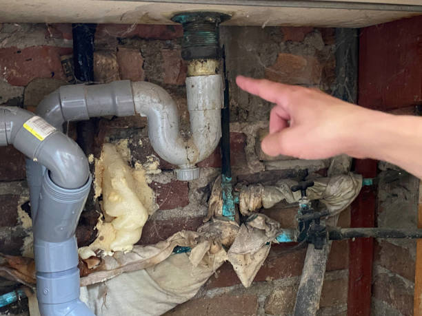 Best Mold removal after water damage  in Wasco, CA