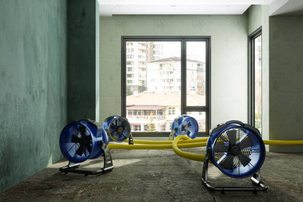 Professional Water damage restoration in CA