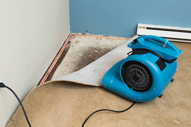 Best Water damage restoration near me  in Wasco, CA